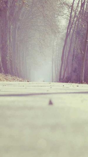 切瓜怎么吃截图4