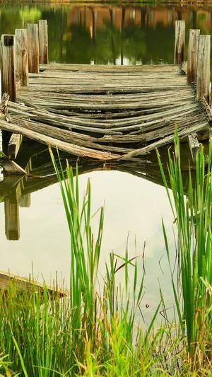 zztt10.ccm黑料截图4