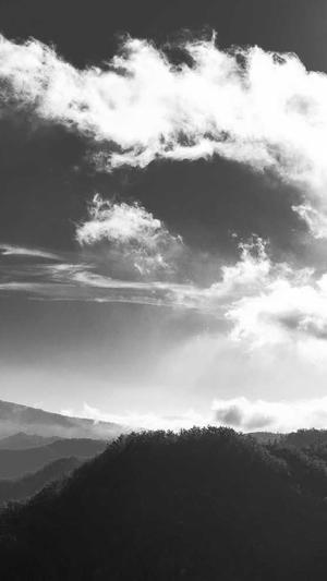 怀孕早期可以吃哈密瓜吗截图4