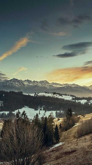 黑料不打烊封了吗截图2