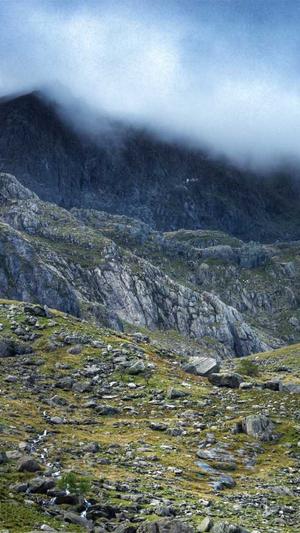 zztt15黑料不打烊官网截图1