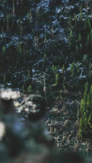 黑料网 吃瓜截图2