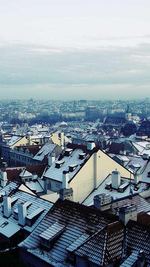 天涯明星黑料截图2