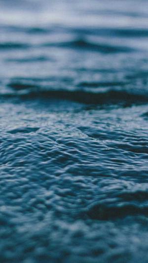 网红黑料 -APP截图5