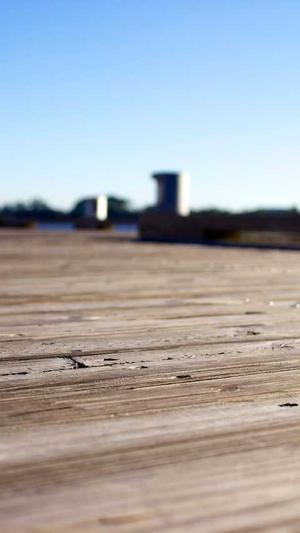 痞幼黑料不打烊图片截图4