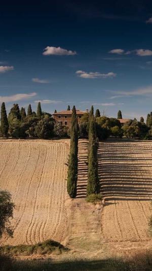 今日吃瓜51cg热门大瓜首页截图1