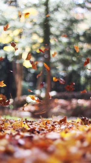 黑料不打烊网址更新截图2