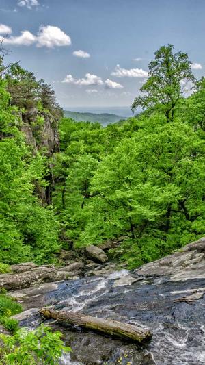 黑料不打烊网址更新截图1