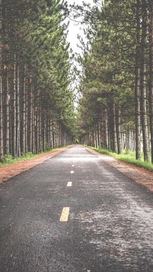 带你吃瓜呀!截图5