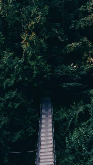 黑料社区怎么安装截图1