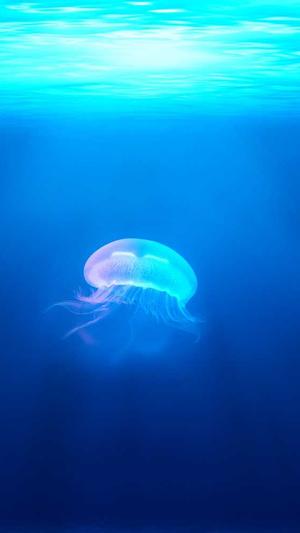 吃瓜黑料在线播放截图2