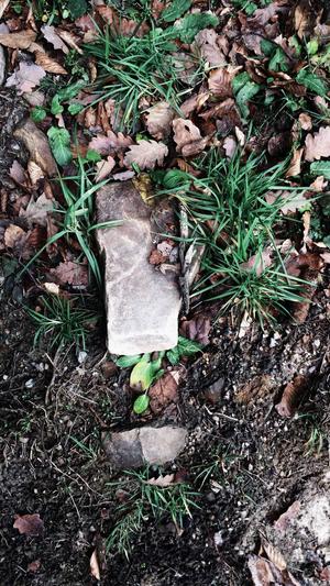 孕妇可以吃凉瓜吗截图3