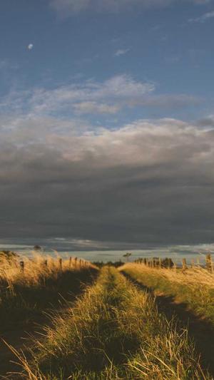 白百何工作室辟谣吃瓜截图3