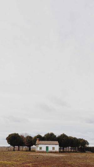 黑料网不打烊截图3