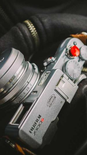 91吃瓜顶楼的大象截图1