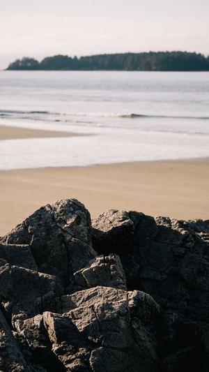 我爱51吃瓜网截图1