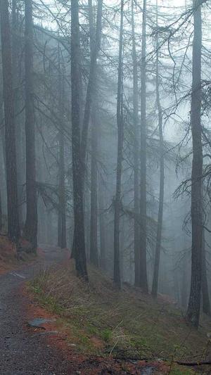 吃瓜网官网下载截图2