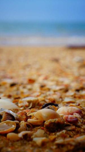 twice每个人的黑料截图4