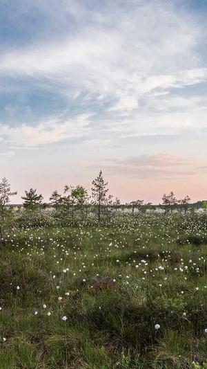 香蕉和哈密瓜能一起吃吗截图3