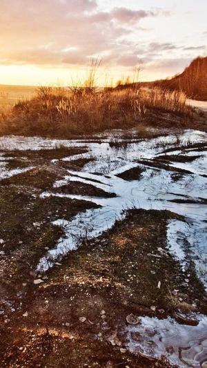 帝师老婆黑料截图2