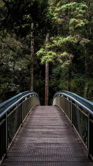 3分25秒py黑料不打烊截图2