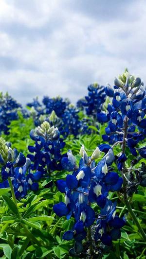 51吃瓜最新地址截图2