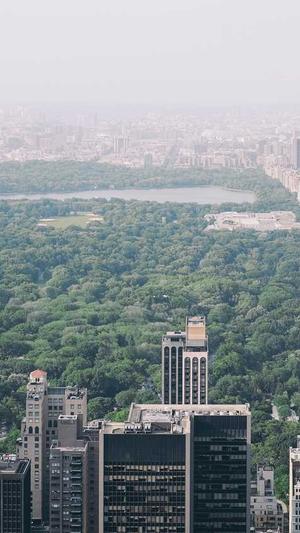 帝师老婆黑料截图4