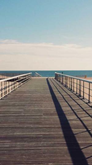 黑料不打烊导航so截图4