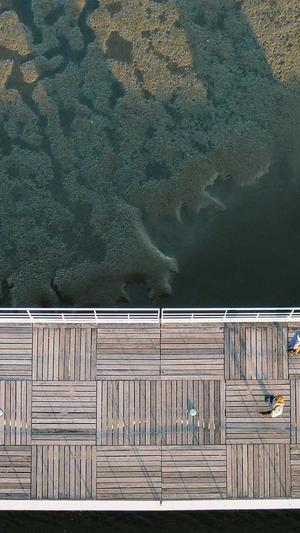 哈密瓜咋吃截图3