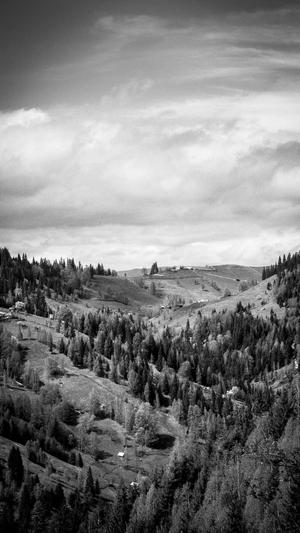 51吃瓜人人吃瓜截图5