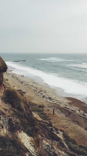 吃瓜不嫌事大截图4