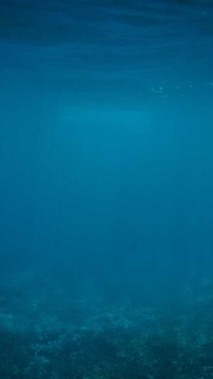 gnc瓜拉纳怎么吃截图4