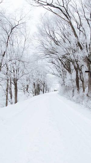 吃瓜少女张小寒张艺兴截图5