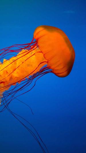 吃瓜黑料社破解版截图2