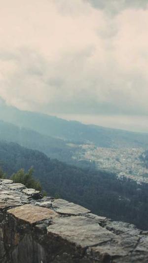 罗云熙黑料截图2