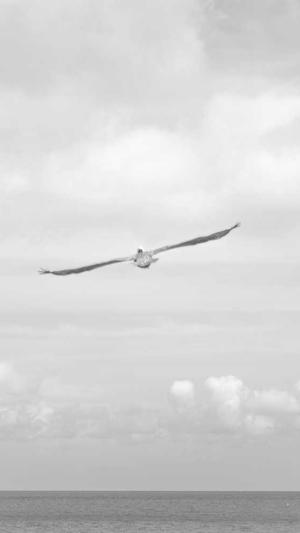 我爱51吃瓜网截图2