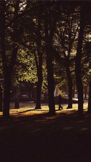 51黑料往期回顾截图2