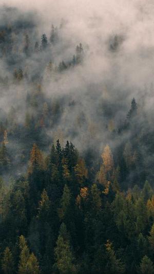 婴儿可以吃哈密瓜吗截图5