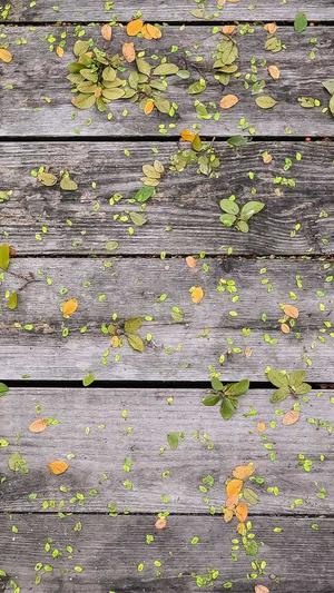 带你吃瓜ovo截图4