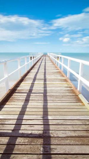 421吃瓜文件截图3