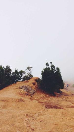 腐团儿黑料截图1