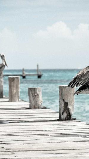 黑料社导航截图1