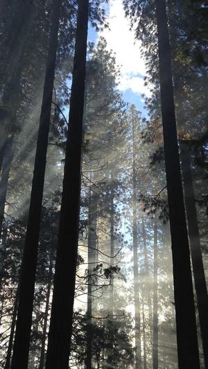 iu早年黑料截图2