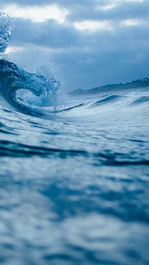 黑料不打烊路线一截图1