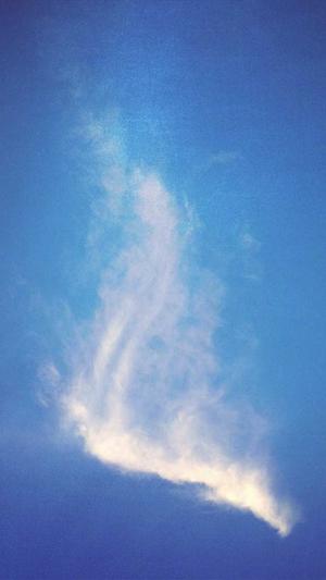 黑料不打烊首页截图2