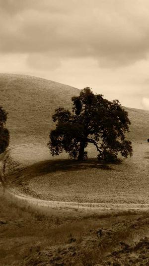 黑料不打烊,截图2